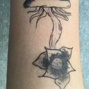 Meet your Posher, Annamarie